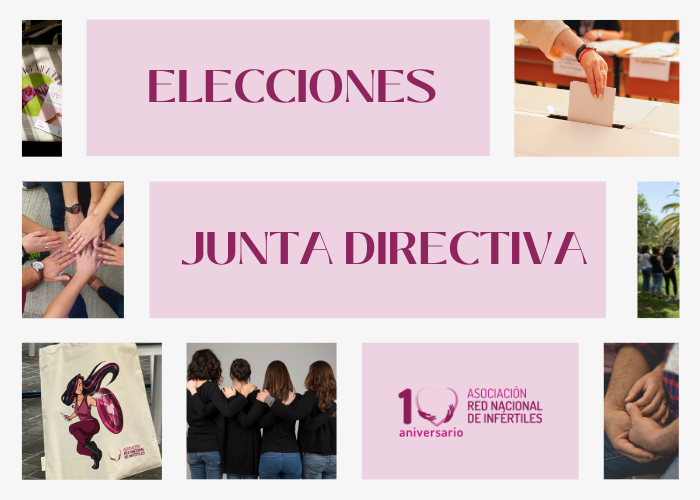 Convocatoria Elecciones Junta Directiva